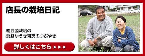 店長の栽培日記